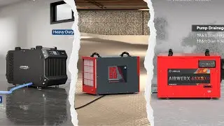 4 Best Crawl Space Dehumidifier 2025! Don't Let Moisture Win!