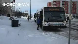 Free bus ticket program ends in Whitehorse, new gov't to not renew funding