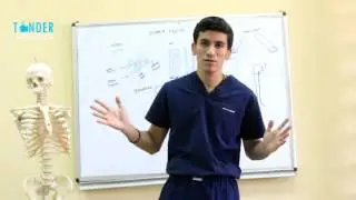 axillary nerve