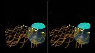 Virtual Reality for branding experience