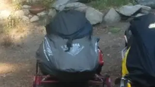 Squirrel attacking snowmobile cover at Lake Tahoe