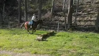 Hotonne tf 4 ans cross
