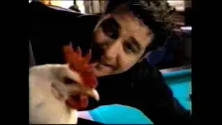 Bud Light Chicken Playing Pool Commercial #beer #viral #tv #vhs #commercial #budlight #pool #chicken