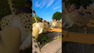 Drusillas Zoo Park UK 🇬🇧 #shorts #ytshorts #viralshorts #short #trending