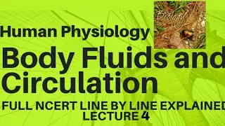 NCERT Ch-18 Body Fluids and Circulation class 11 Human Physiology Full Explanation lecture 4 Boards