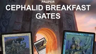 CEPHALIDS AT THE GATES! Pauper Cephalid Breakfast Caw-Gates Combo Control. Basilisk Gate Hawk MTG