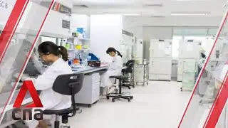 Antibody approach could be fast, effective in developing COVID-19 treatments: A*STAR chief scientist