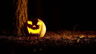 Steely's Cocktails #3: Pumpkin Spiced Mule (INSIDE A PUMPKIN)