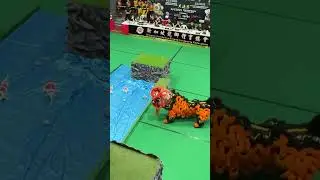 Traditional Lion Dance Competition
