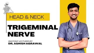 Trigeminal nerve || Head And Neck Anatomy || First Year MBBS || Anatomy Lectures by Ashish