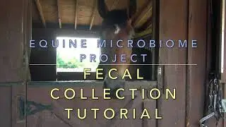 Fecal Collection Tutorial