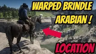 &iexcl;&Aacute;rabe atigrado deformado! &iexcl;NUEVO CABALLO! Red Dead Redemption 2
