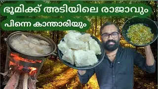 ഭൂമിക്ക് അടിയിലെ രാജാവും പിന്നെ കാന്താരിയും part 2 | How To Grow | kachil #kachill  #agriculture
