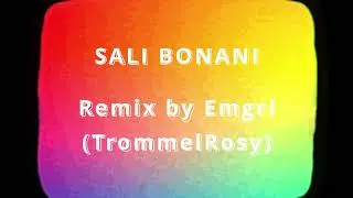 Sali Bonani Remix (TrommelRosy feat. Emgri)