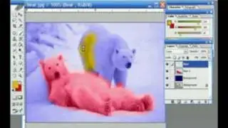 How to convert a Black & White picture  into a Colored Photograph