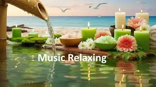 Nature Sounds & Calming Music for Sleep Insomnia, Stress Relief, Meditation Music Relax Mind Body
