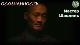 🧘‍♂️ Когда внимание становится силой