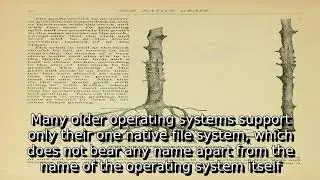 Learn about list of file systems | what is acfs file system
