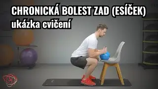 Možnosti cvičení při chronických bolestech zad a SI skloubení