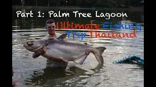 Palm Tree Lagoon Fish, Catching the world’s strongest freshwater fish.