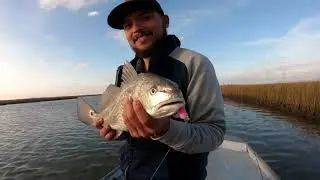 A.M. Fishing Lures the Go-To Lures San Luis Pass, TX 11/19