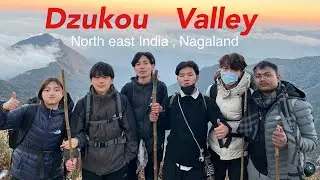 Dzukou valley ⛰️ Nagaland trekking vlog || one night camping , morning sunset 🌅 