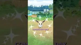 Eevee Community Day Was Conveniently Timed #shorts #pokemongo #communityday #pokemon #eevee #shiny