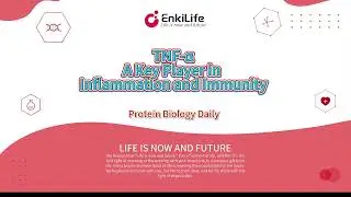 TNF-&alpha;: A Key Player in Inflammation and Immunity