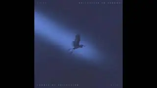 SHORES OF REFLECTION - DVINE