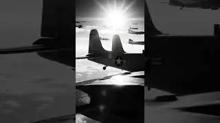 They rule the sky, and freedom follows their wings.  #untoldww2  #worldwar2