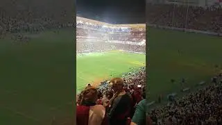 Rugby Wallabies v British and Irish lions Suncorp Stadium Queensland #views #watch #everyone
