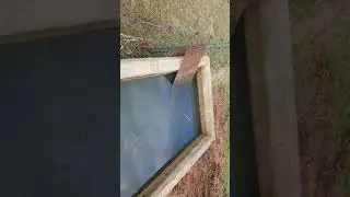 Natural stock tank cleaning