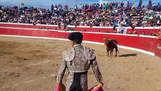 2° TARDE TAURINA EN PAUZA 27 DE JULIO DE 2025