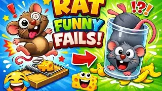 RAT !! Funny 😆 fails !!! 