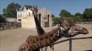 Zoo de Pont Scorff
