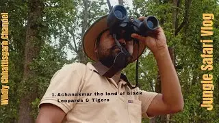 @WildlyCG Achanakmar Tiger Reserve Bilaspur Chhattisgarh|| Tiger Safari||