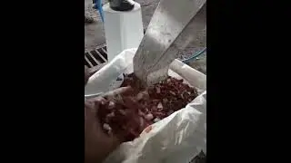 Qube Plastic Sorting Machine