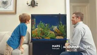 Dive into your underwater world of fish with Mars Fishcare