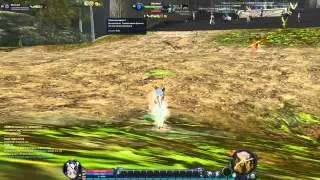 Aion kor