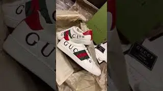 Sneakers Gucci Ace 100
