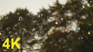 4K Free Stock Footage: Floating Soap Bubbles (6 Videos)