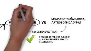 Rotura de Menisco | PhysioCiencia