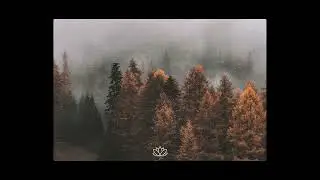 Sad Bon Iver x Indie Piano Type Beat - &ldquo;Fall&rdquo;