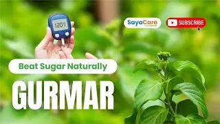 Gurmar - The Natural Sugar Destroyer | Diabetes Reversal | SayaCare