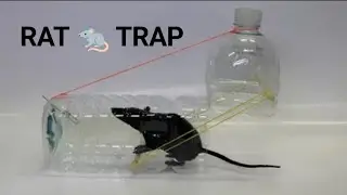 Water bottle mose/Rat Trap
