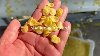corn flakes twin screw extruder production line