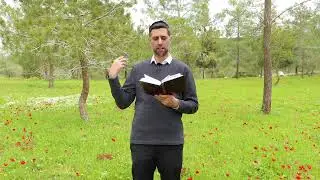 Bitachon 52 - Birthpangs of Moshiach II