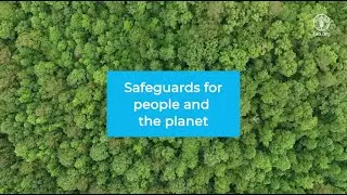 Safeguards for people and the planet