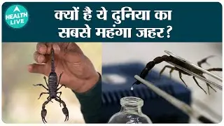 Scorpion venom is the most expensive liquid in the World | Health Live