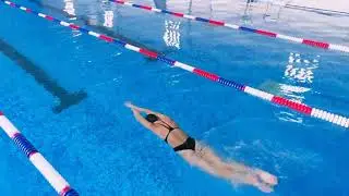Swimming Pool business for sale in Central Coast, NSW
